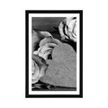 POSTER WITH MOUNT VALENTINE'S ROSES IN BLACK AND WHITE - BLACK AND WHITE - POSTERS