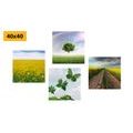 CANVAS PRINT SET DAZZLING NATURE - SET OF PICTURES - PICTURES