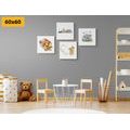 BILDER-SET BUNTE TIERE - BILDERSETS - BILDER