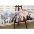 CANVAS PRINT SPIKES OF LONG GRASS - PICTURES OF NATURE AND LANDSCAPE - PICTURES