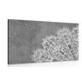 CANVAS PRINT ELEMENTS OF A FLORAL MANDALA IN BLACK AND WHITE - BLACK AND WHITE PICTURES - PICTURES