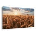 TABLEAU SUR TOILE – BLÉ DORÉ AU COUCHER DU SOLEIL - TABLEAUX DE CHAMPS ET PRAIRIES - TABLEAUX