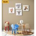 CANVAS PRINT SET CUTE ANIMALS - SET OF PICTURES - PICTURES