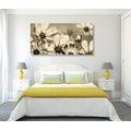 CANVAS PRINT GARDEN FLOWERS IN SEPIA DESIGN - BLACK AND WHITE PICTURES - PICTURES