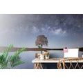 SELF ADHESIVE WALL MURAL STARRY SKY ABOVE A LONELY TREE - SELF-ADHESIVE WALLPAPERS - WALLPAPERS