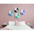 CANVAS PRINT SET COLORFUL BUTTERFLIES - SET OF PICTURES - PICTURES