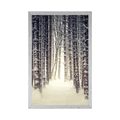 POSTER SCHNEEBEDECKTER WALD - NATUR - POSTER