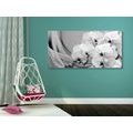 CANVAS PRINT ORCHID ON A CANVAS IN BLACK AND WHITE - BLACK AND WHITE PICTURES - PICTURES