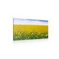 CANVAS PRINT YELLOW FIELD - PICTURES OF NATURE AND LANDSCAPE - PICTURES