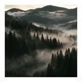 CANVASTAVLA DIMMIGT BERGSDAL - TAVLOR MED SKOG - TAVLOR