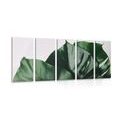 5-PIECE CANVAS PRINT MONSTERA LEAF - STILL LIFE PICTURES{% if product.category.pathNames[0] != product.category.name %} - PICTURES{% endif %}
