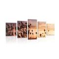 5-PIECE CANVAS PRINT GRASS BLADES IN A FIELD - PICTURES OF NATURE AND LANDSCAPE - PICTURES