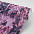 PAPIER PEINT FLEURS DE LILAS VIOLETS - PAPIER PEINT FLEURS - PAPIER PEINT