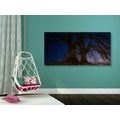 CANVAS PRINT TREES IN A NIGHT LANDSCAPE - PICTURES OF NATURE AND LANDSCAPE - PICTURES