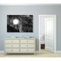 CANVAS PRINT WOLF MOON IN BLACK AND WHITE - BLACK AND WHITE PICTURES - PICTURES