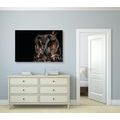 CANVAS PRINT OWL - PICTURES OF ANIMALS{% if product.category.pathNames[0] != product.category.name %} - PICTURES{% endif %}