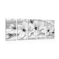 5-PIECE CANVAS PRINT LUXURIOUS MAGNOLIA WITH PEARLS IN BLACK AND WHITE - BLACK AND WHITE PICTURES - PICTURES
