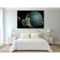 CANVAS PRINT METEORITES AROUND THE PLANET - PICTURES OF SPACE AND STARS - PICTURES