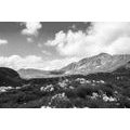 CANVAS PRINT VALLEY IN MONTENEGRO IN BLACK AND WHITE - BLACK AND WHITE PICTURES - PICTURES