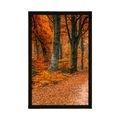 POSTER WALD IN DER HERBSTZEIT - NATUR{% if product.category.pathNames[0] != product.category.name %} - GERAHMTE POSTER{% endif %}