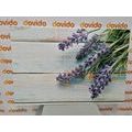 CANVAS PRINT LAVENDER ON A WOODEN BACKGROUND - PICTURES FLOWERS - PICTURES