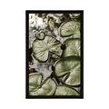 POSTER WATER LILIES IN THE GARDEN - NATURE - POSTERS
