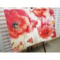 CANVAS PRINT RED POPPIES ON THE FIELD - PICTURES FLOWERS - PICTURES