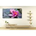 CANVAS PRINT PINK LOTUS FLOWER - PICTURES FLOWERS - PICTURES