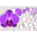 CANVAS PRINT ORCHID ON AN ABSTRACT BACKGROUND - PICTURES FLOWERS - PICTURES