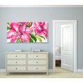 CANVAS PRINT BEAUTIFUL FLOWERS - PICTURES FLOWERS - PICTURES