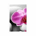 AFFICHE FLEURS D'ORCHIDÉES SUR DES PIERRES BLANCHES - FENG SHUI - AFFICHES