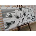 CANVAS PRINT LUXURIOUS MAGNOLIA WITH PEARLS IN BLACK AND WHITE - BLACK AND WHITE PICTURES - PICTURES