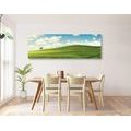 CANVAS PRINT BEAUTIFUL DAY ON THE MEADOW - PICTURES OF NATURE AND LANDSCAPE - PICTURES