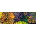 CANVAS PRINT COLORED ABSTRACT ART - ABSTRACT PICTURES - PICTURES