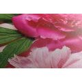 CANVAS PRINT PEONIES IN PINK - PICTURES FLOWERS - PICTURES