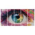 5-DÍLNÝ OBRAZ BAREVNÁ HARMONIE OKA - ABSTRAKTNÍ OBRAZY - OBRAZY