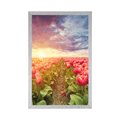 POSTER SONNENAUFGANG ÜBER DER WIESE MIT TULPEN - BLUMEN - POSTER