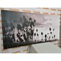 IMPRESSION SUR TOILE BRINS D'HERBE SUR UN CHAMP EN NOIR ET BLANC - IMPRESSIONS SUR TOILE NOIR ET BLANC - IMPRESSION SUR TOILE