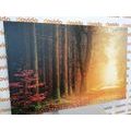TABLEAU SUR TOILE – CHEMIN EN FORÊT - TABLEAUX DE LA NATURE ET DES PAYSAGES - TABLEAUX