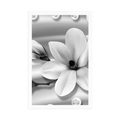 POSTER LUXURIOUS MAGNOLIA WITH PEARLS IN BLACK AND WHITE - BLACK AND WHITE - POSTERS