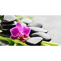 CANVAS PRINT WELLNESS STILL LIFE WITH A PURPLE ORCHID - PICTURES FENG SHUI - PICTURES