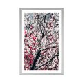 POSTER WITH MOUNT PEACH FLOWERS - FLOWERS - POSTERS