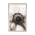 POSTER BLOOMING FLOWER - FLOWERS - POSTERS