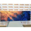 CANVAS PRINT MAGICAL BUBBLES - ABSTRACT PICTURES - PICTURES