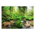 SELF ADHESIVE WALLPAPER GREEN OASIS - WALLPAPERS{% if product.category.pathNames[0] != product.category.name %} - WALLPAPERS{% endif %}