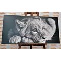 CANVAS PRINT OF A CUTE LION IN BLACK AND WHITE - BLACK AND WHITE PICTURES - PICTURES