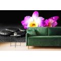 WALL MURAL ORCHID ON ZEN STONES - WALLPAPERS FENG SHUI - WALLPAPERS