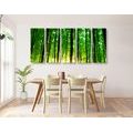 5-PIECE CANVAS PRINT LUSH GREEN FOREST - PICTURES OF NATURE AND LANDSCAPE - PICTURES