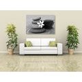 CANVAS PRINT FLOWER AND STONES IN THE SAND IN BLACK AND WHITE - BLACK AND WHITE PICTURES - PICTURES