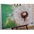 CANVAS PRINT DANDELION SEEDS - PICTURES FLOWERS{% if product.category.pathNames[0] != product.category.name %} - PICTURES{% endif %}